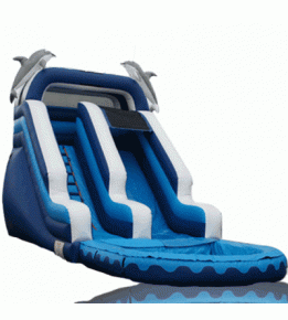 18' Dolphin Water Slide 32'L x 15'W x 18'H